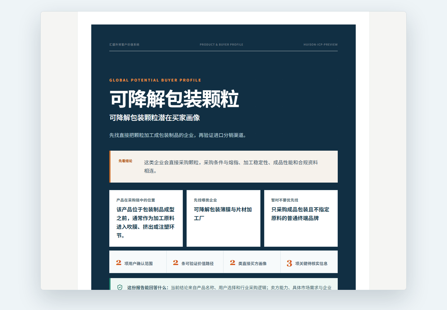 产品买家画像 ICP 报告示例